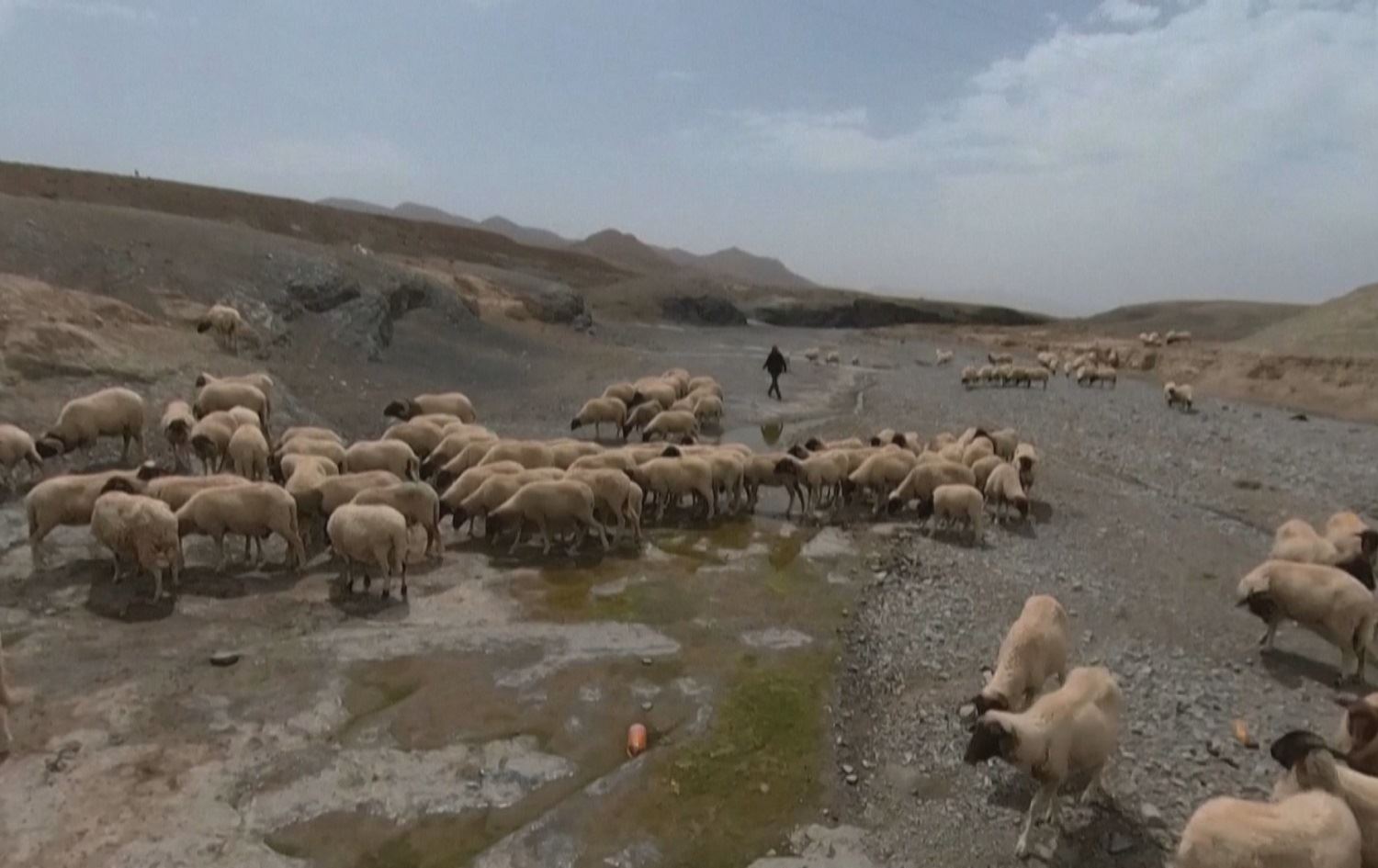 Kêmbûna avê rewşa  koçerên Mexribê xirab kiriye