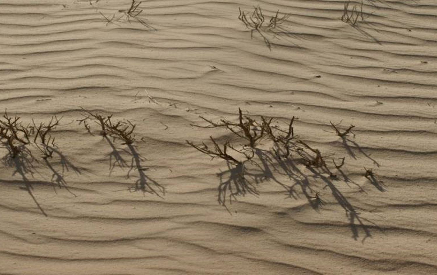 گۆڕانی کەشوهەوا لە نەجەف هەزاران خێزان ناچار بە کۆچکردن دەکات