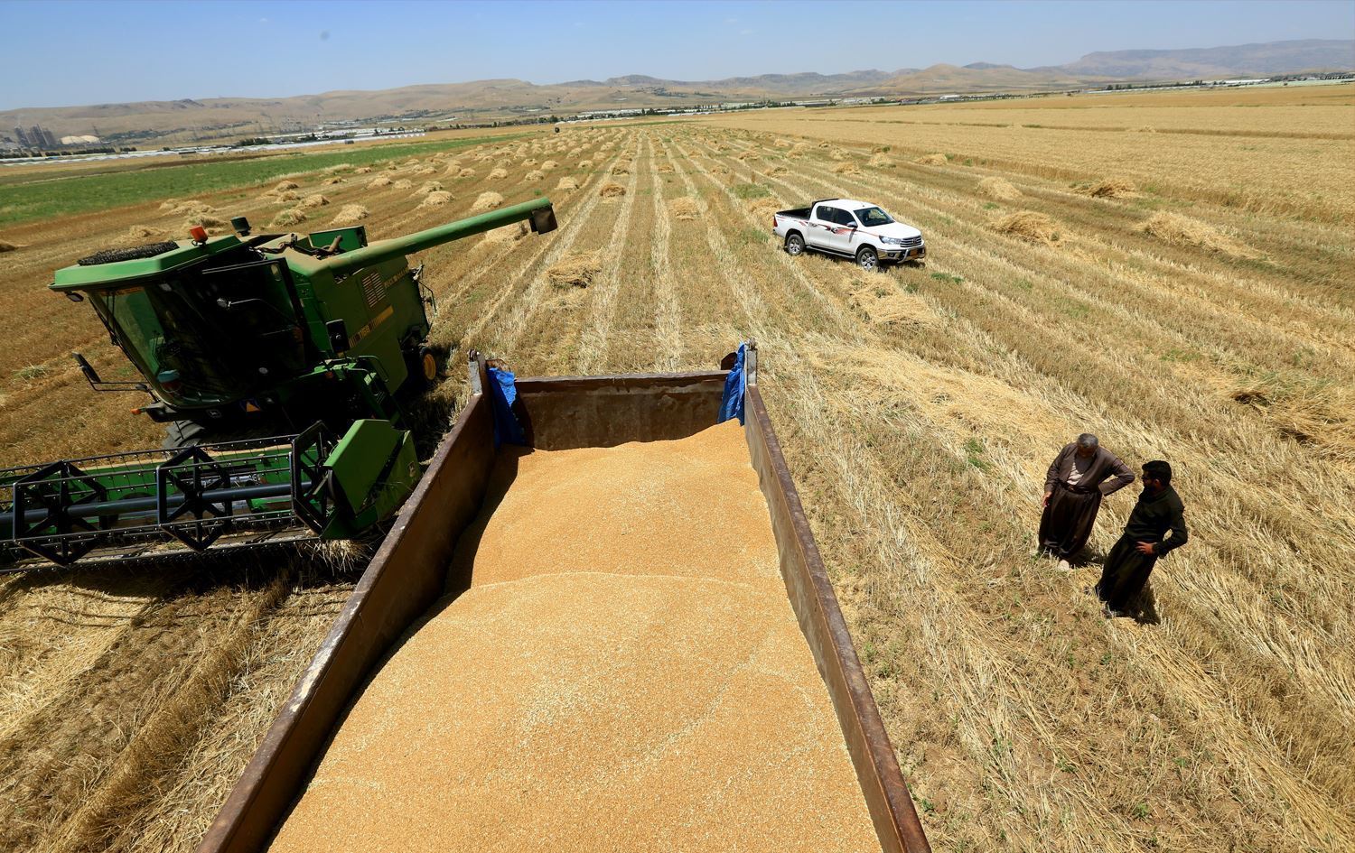 الحكومة العراقية ترسل مستحقات فلاحي إقليم كوردستان لعام 2014 الأسبوع المقبل