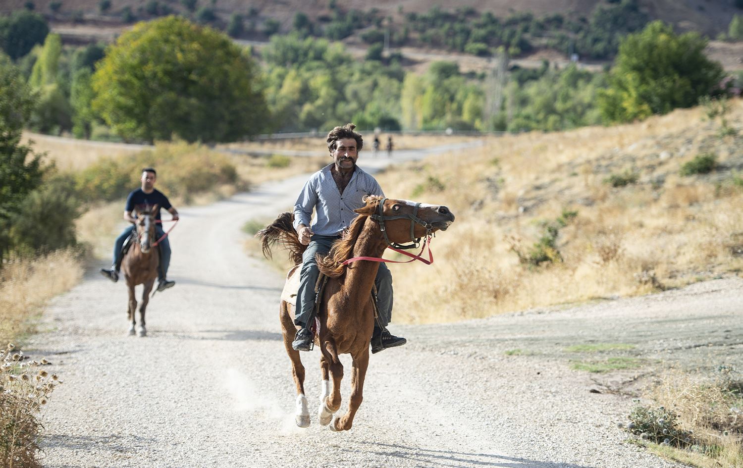 Li Dêrsimê geştyariya bi hespan bala xelkê kişandiye ser xwe