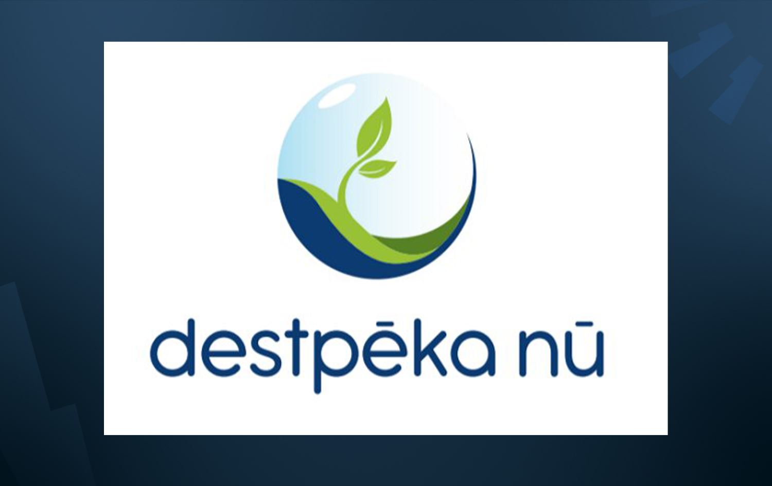 Destpêka Nû deklarasyona xwe bo raya giştî eşkere kir