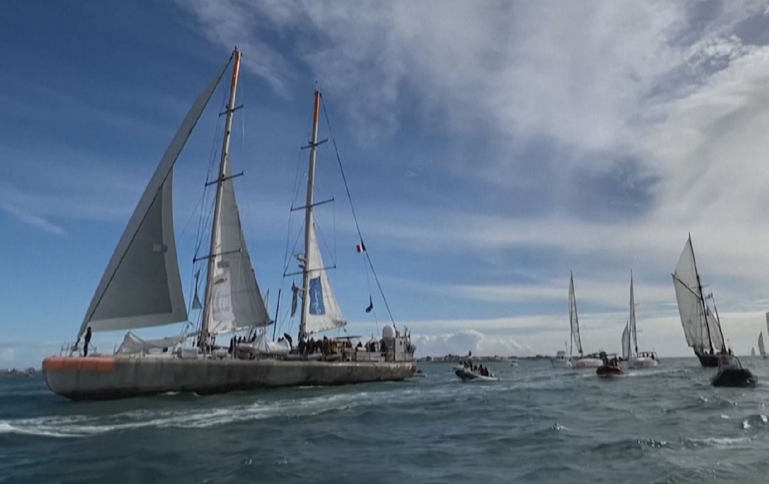 توێژینەوەیەکی فەرەنسی: بەهۆی پیسبوونی ژینگەی دەریاکان ساڵانە 100 ملیۆن ئاژەڵ دەمرن