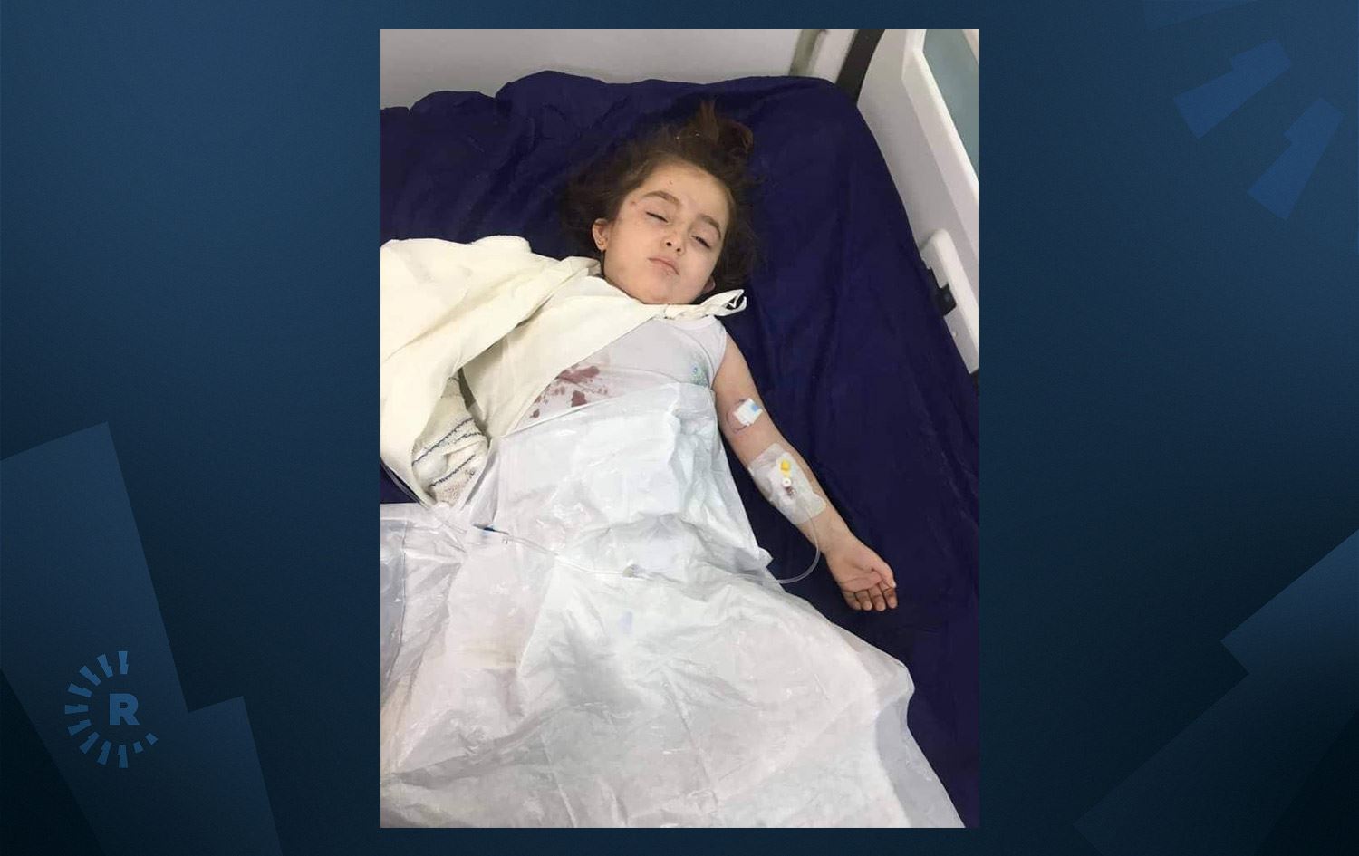 لە سلێمانی ورچ منداڵێک بریندار دەکات و ئەنجوومەنی پارێزگاش لیژنەی لێکۆڵینەوە پێکدەهێنێت