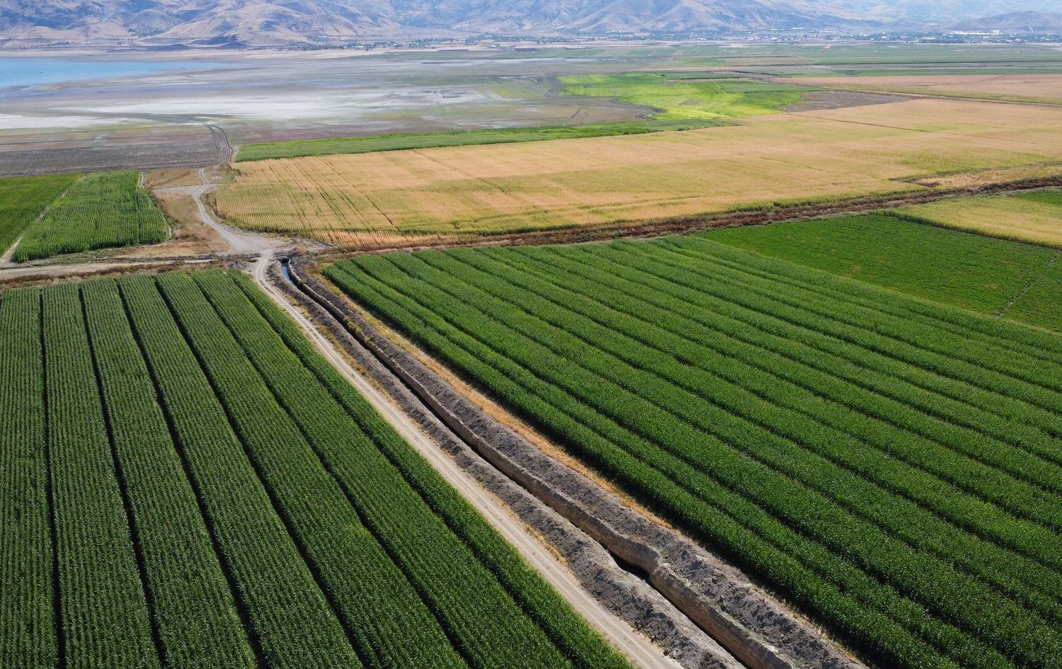 Li Xarpêtê li ser axa bendavê çandinî tê kirin