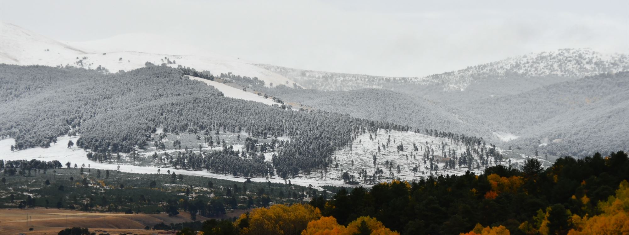 FOTO GALERİ- Kar yağışıyla birlikte Kars beyaza büründü