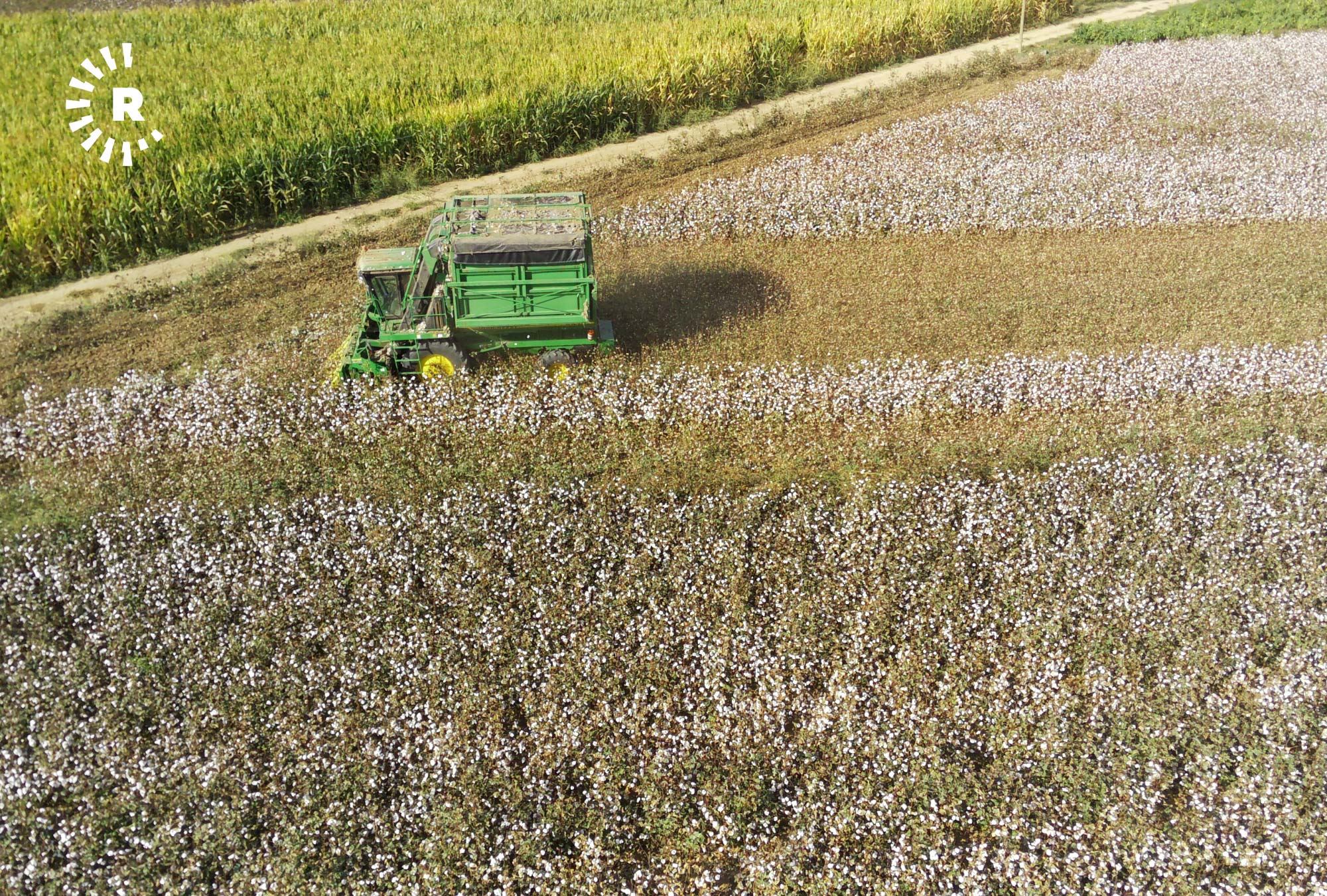 RIHA - Cotkar ji bihayê pembo ne razî ne