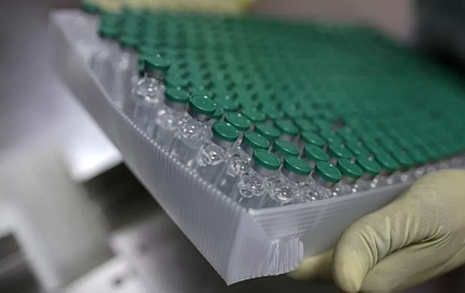 کۆمپانیایەکی دروستکردنی ڤاکسین 100 ملیۆن ڤاکسینی کۆرۆنا لەنێودەبات