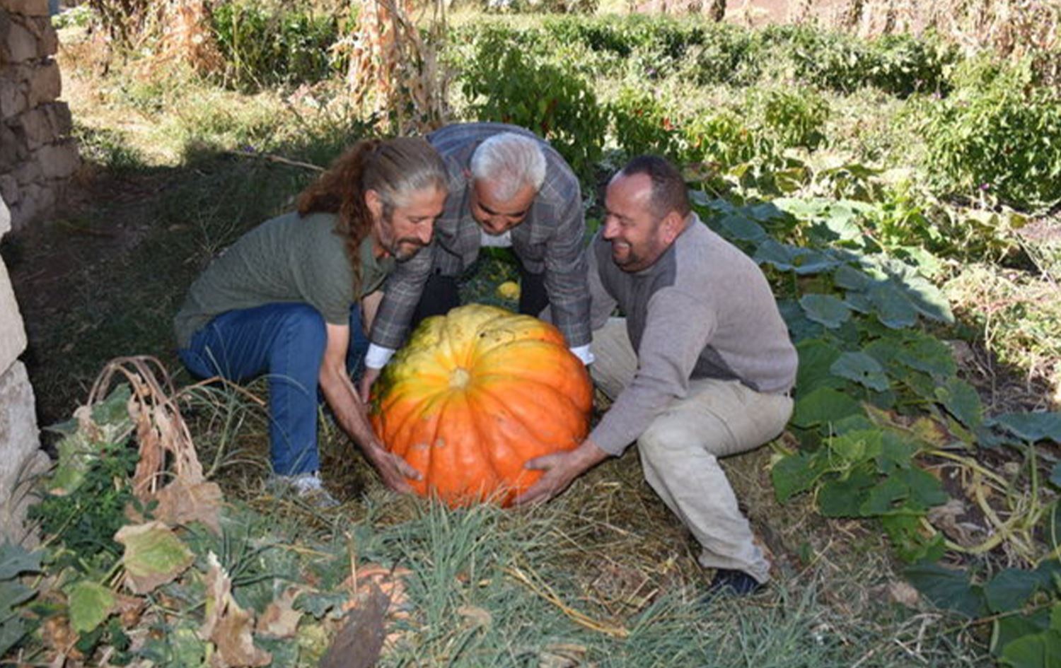 Li Colemêrgê kundirekî 100 kîloyî hat berhemanîn