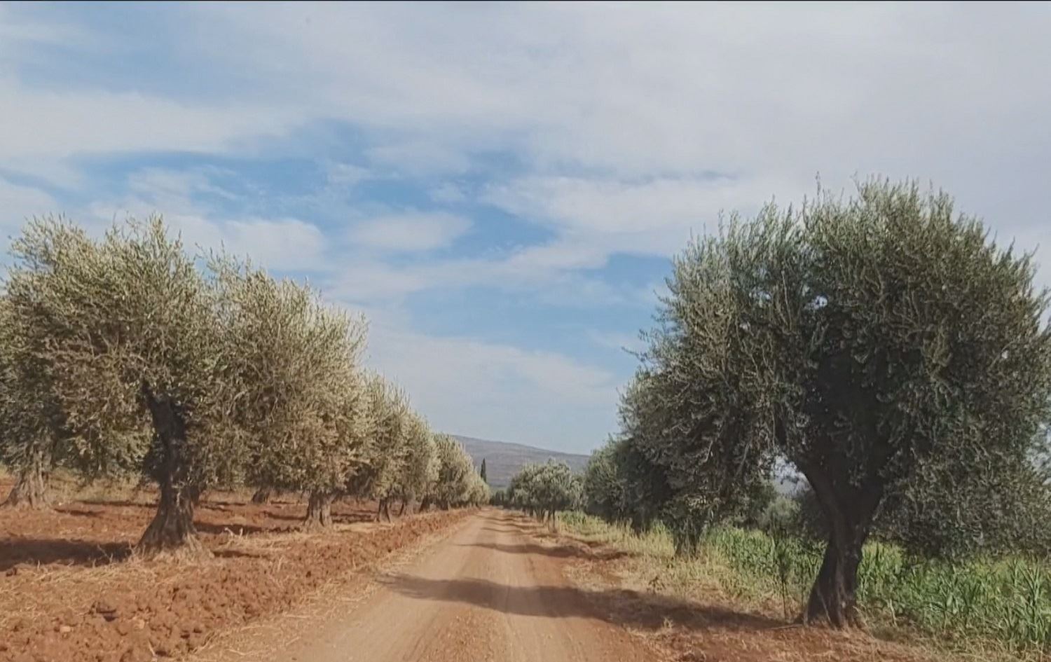 Grûpa Sultan Murad li Bilbilê heta %65 dahata cotkaran talan dike