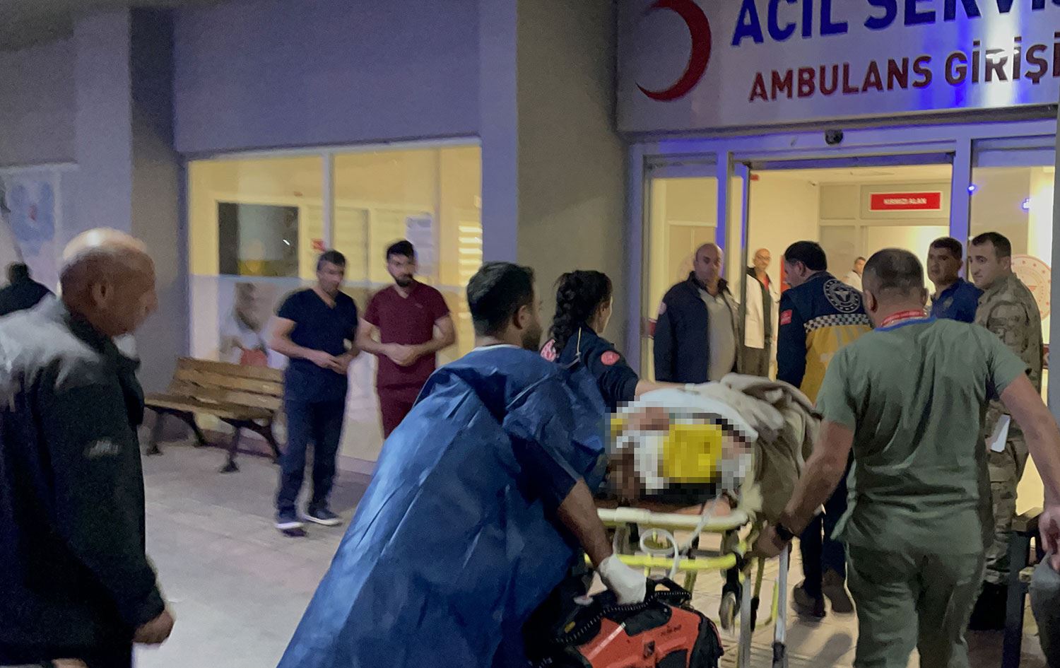 Erzincan'da bir kadın ayı saldırısına uğradı: Durumu ağır