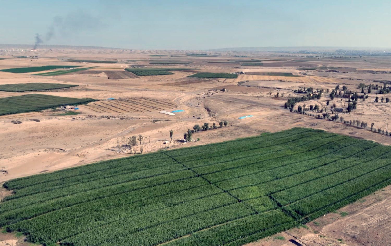 سوپای عێراق لە سەرگەڕان رێگری لە کارکردنی جووتیارانی کورد دەکات؛ "دادگەش سەری سووڕماوە"