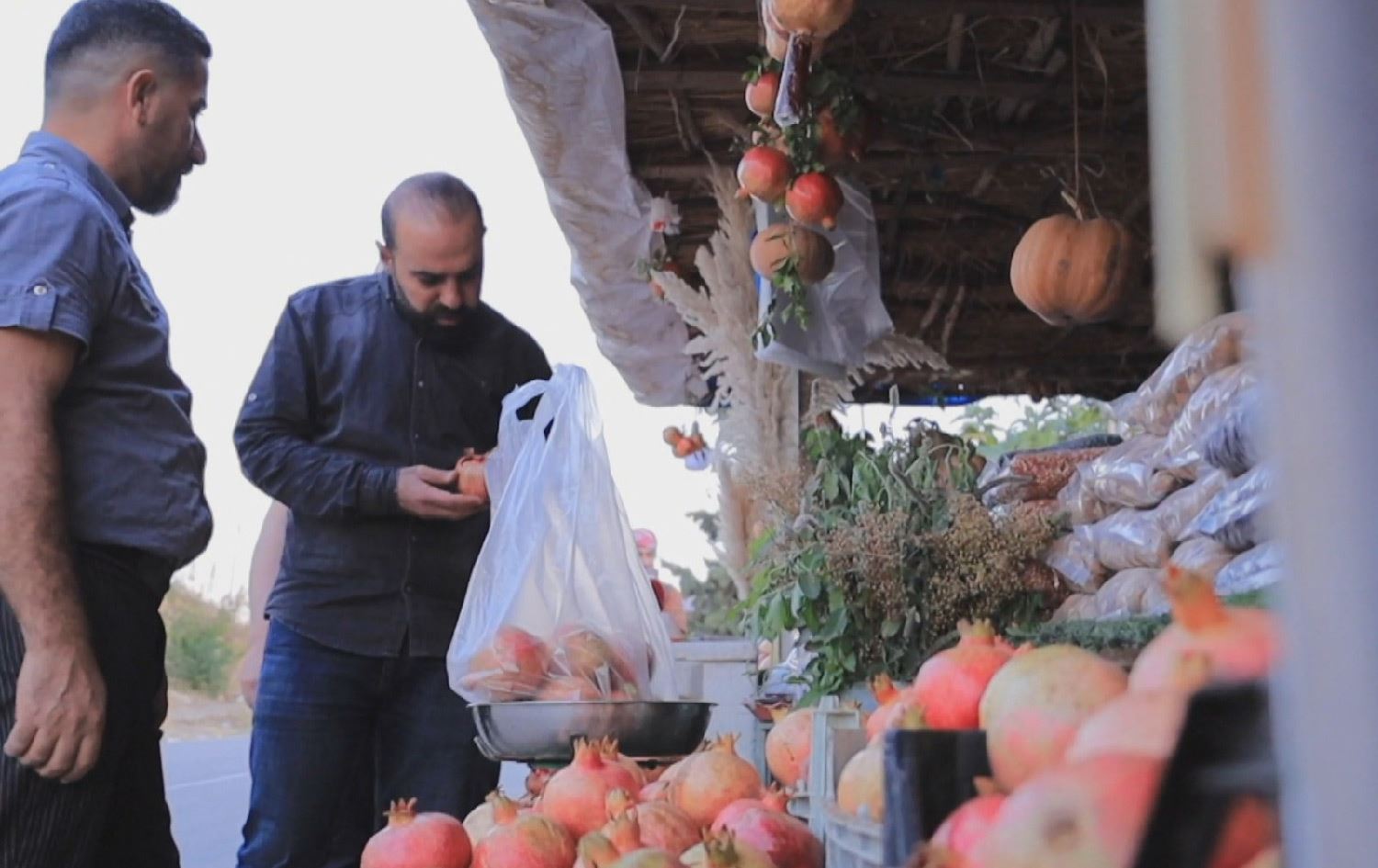 %85ـی زەویی گوندی ئەرمشتێ لە سنووری زاخۆ کراون بە باخی هەنار