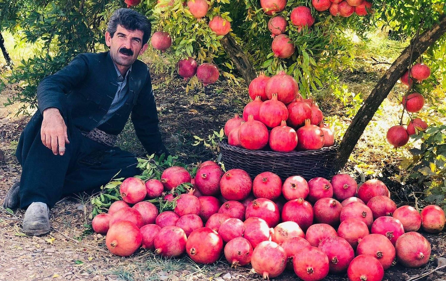 ئازاد هەڵەبجەیی: لە هەولێر نەیانهێشت فێستیڤاڵی هەنار بەڕێوەببەم و دەیبەمە سلێمانی