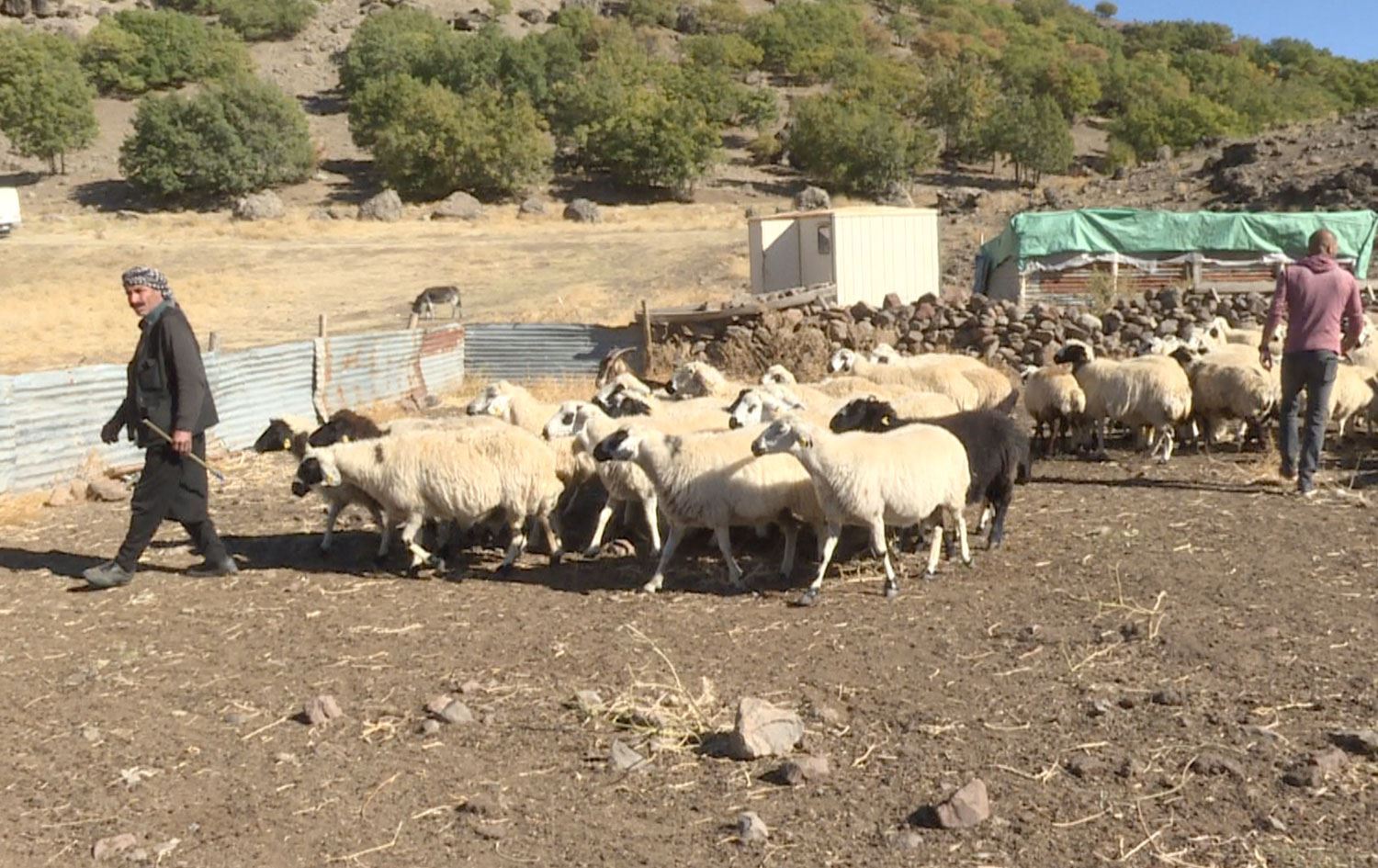 Dêrsim: Ajeldar ji xerciyên zêde û mûçeyê şivanan gazinan dikin
