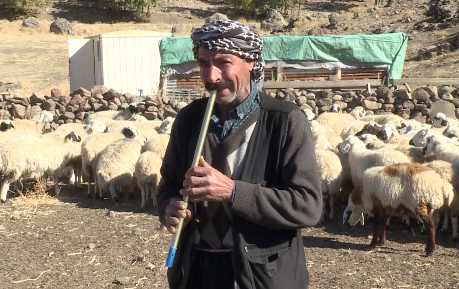 Ajeldar ji xerciyên zêde û mûçeyê şivanan gazinan dikin