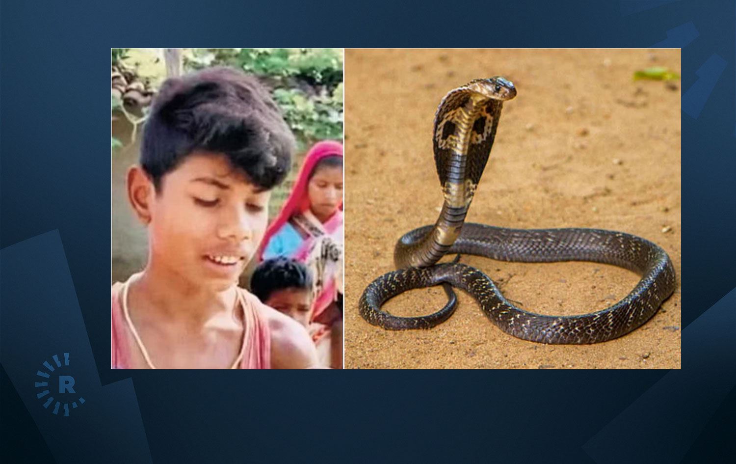 Sekiz yaşındaki çocuğun iki kere ısırdığı yılan öldü