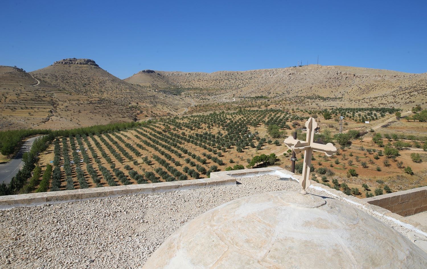 Mêrdîn - Berhevkirina zeytûnan li erdên derdora Dêra Zehferanê dest pê kir