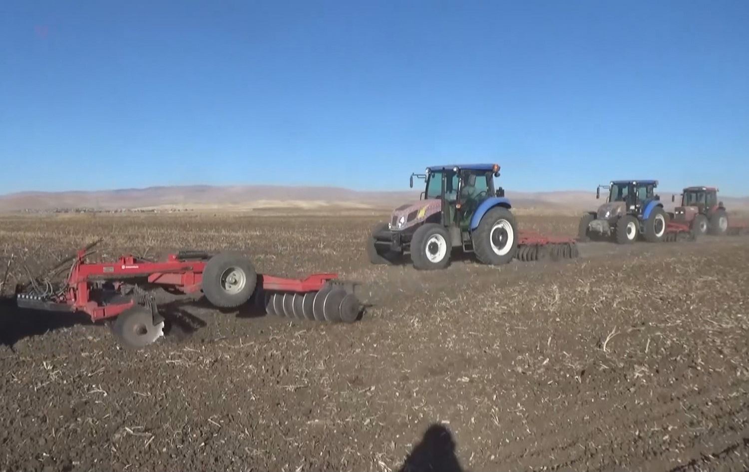 Li Mûşê cotkar hewl didin berî barîna berfê genimê xwe  biçînin