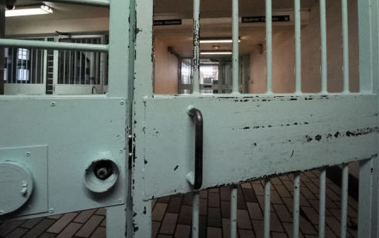 Kardeşi idam edilen İranlı kadın, ülkeden çıkmaya çalışırken tutuklandı