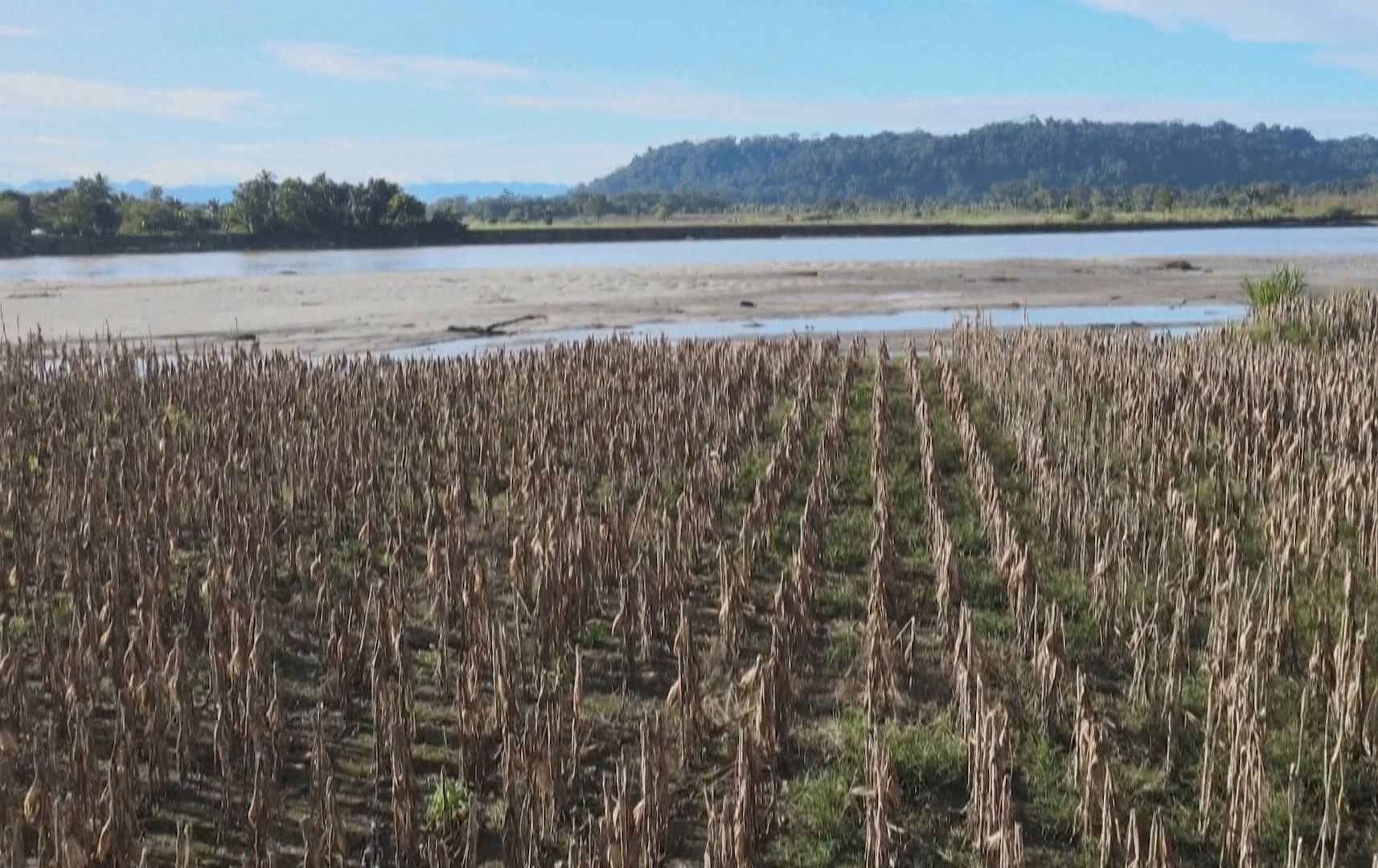 گۆڕانی کەشوهەوا مەترسیی لەسەر ئاسایشی خۆراکی جیهان دروستکردووە