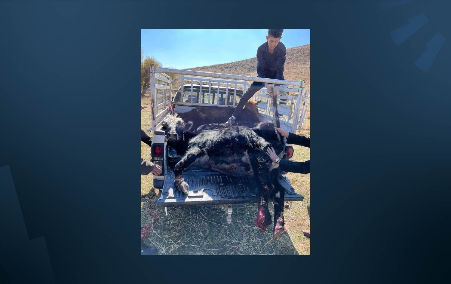 لە برادۆست TNT بە 14 مانگادا تەقییەوە