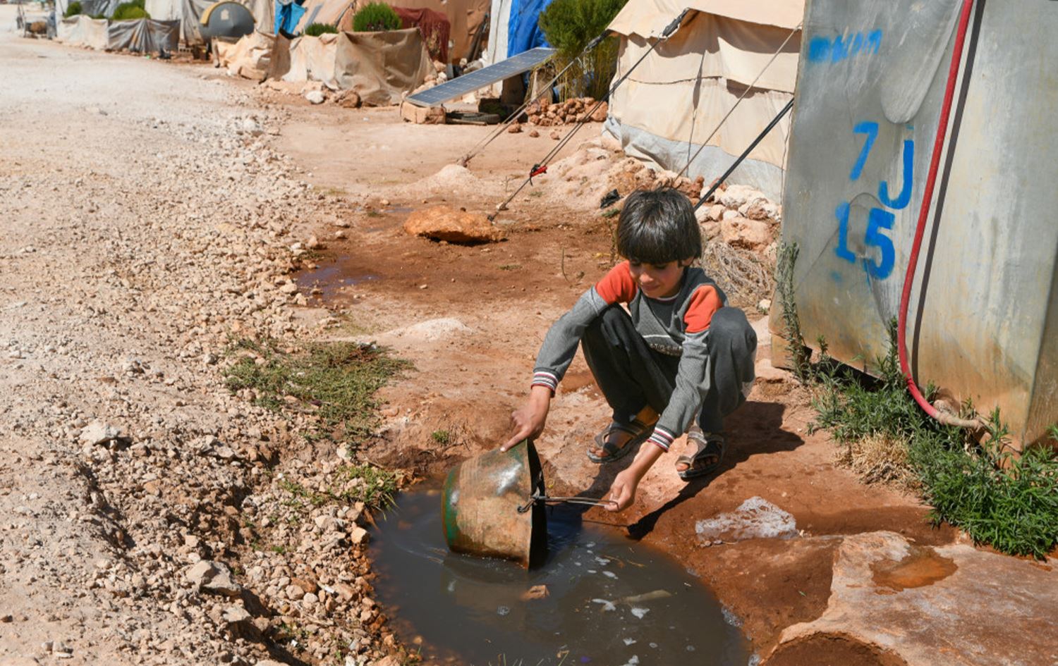 Li Libnanê jî kolera gehişte koçberên Sûrî