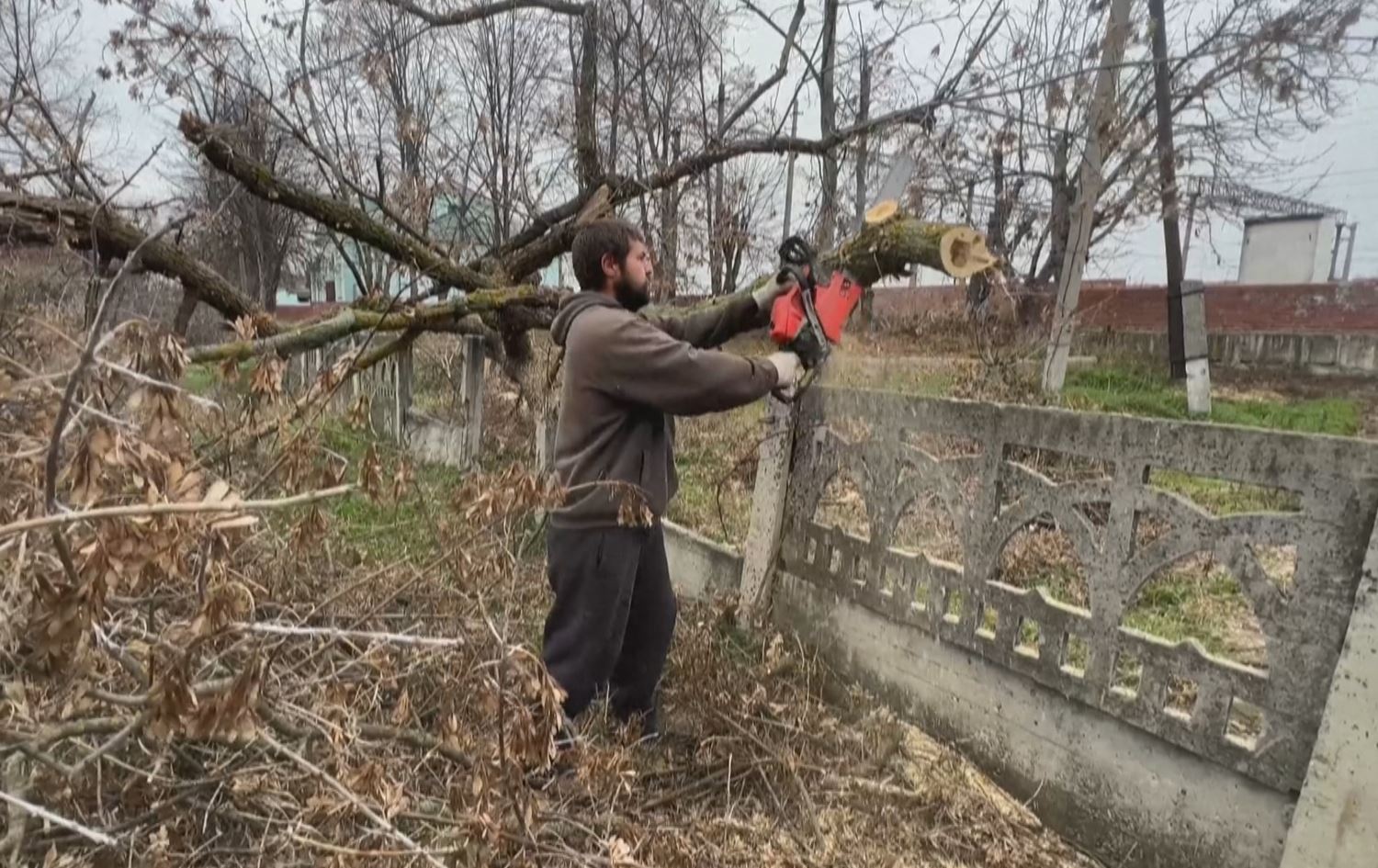Ukraynî bi birrîna daran xwe ji zivistanê re amade dikin
