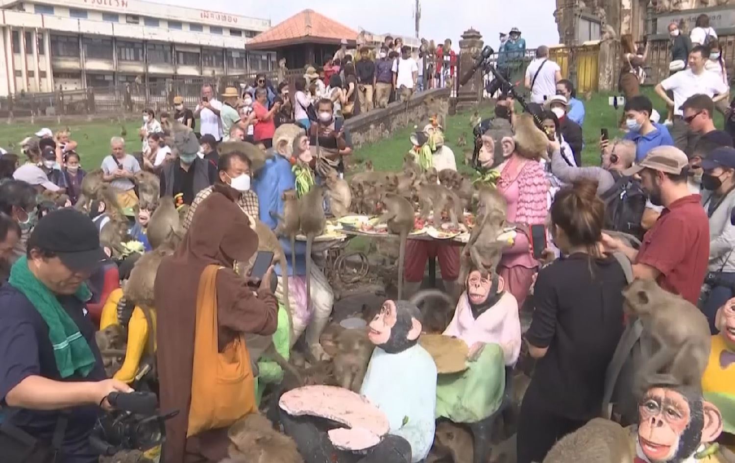 فێستیڤاڵی مەیموون لە تایلاند بەڕێوەدەچێت