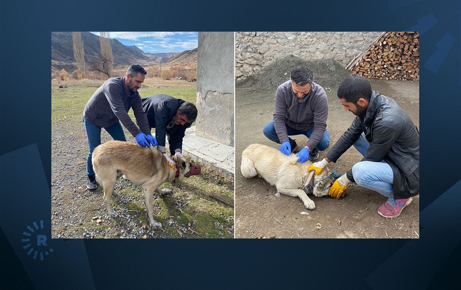 Kars'ta bir köy karantinaya alındı