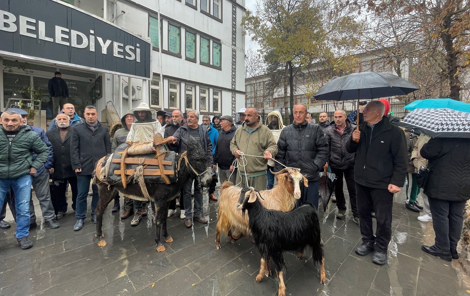Li Dêrsîmê welatiyan projeya kargeha paşmayan protesto kirin