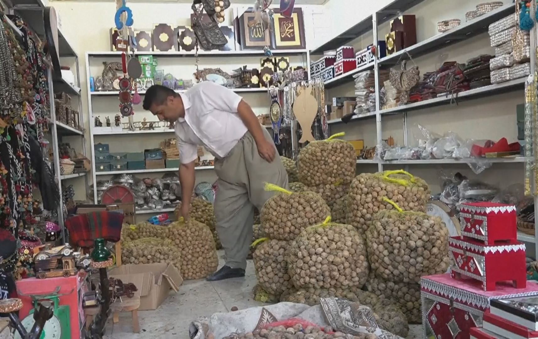 ئەو گوێزە ناسکەی ساڵان لە هەورامان هەبوو، ئەمساڵ وانەماوە