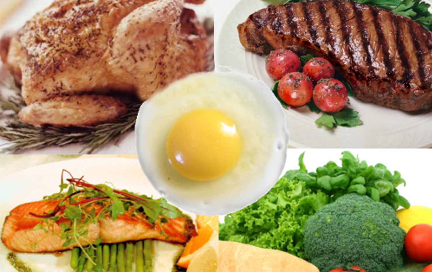 زانکۆی میشیگن: پڕۆتینی نێو خۆراک هانی زۆربوونی خانەکانی شێرپەنجە دەدات