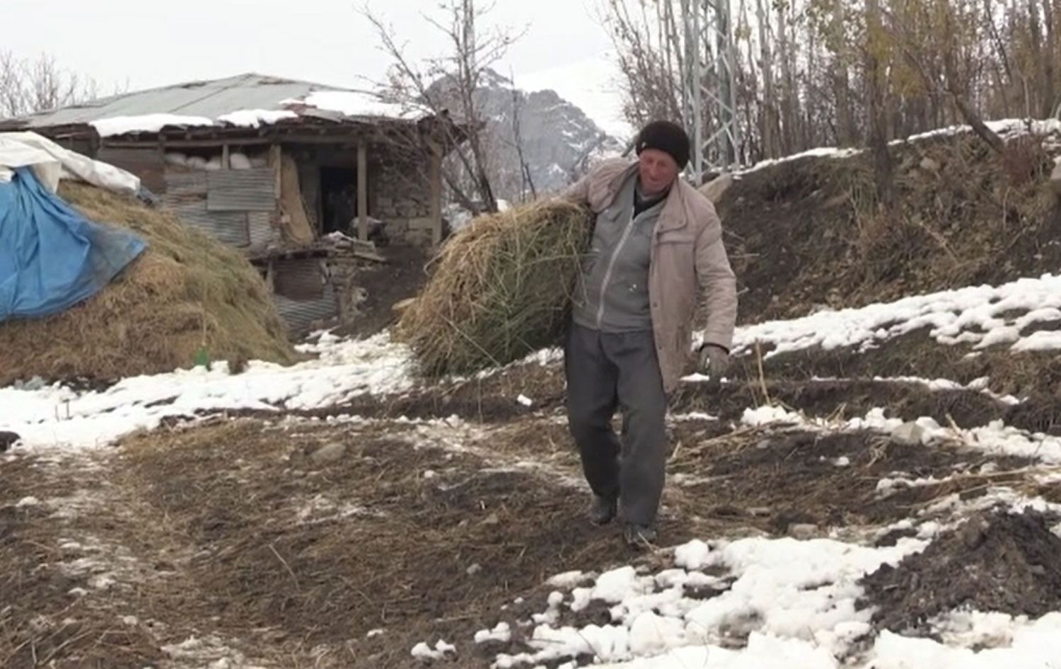 Hakkari’de besicilerin kış şartlarıyla mücadelesi başladı