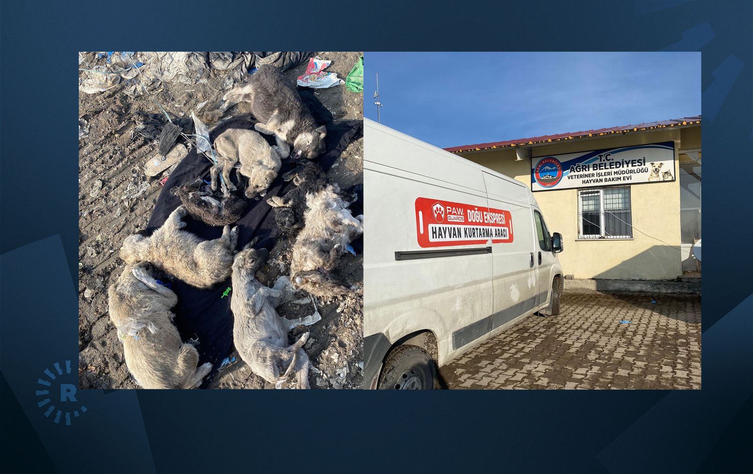 Dehşet uyandıran görüntüler ‘Ağrı’da katliam var!’ sözleri ile paylaşıldı