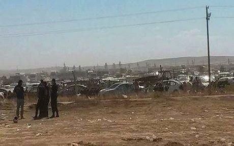 Çekdarên DAIŞê li ser sînor 1000 penaberên Kobanî dorpêç kirine