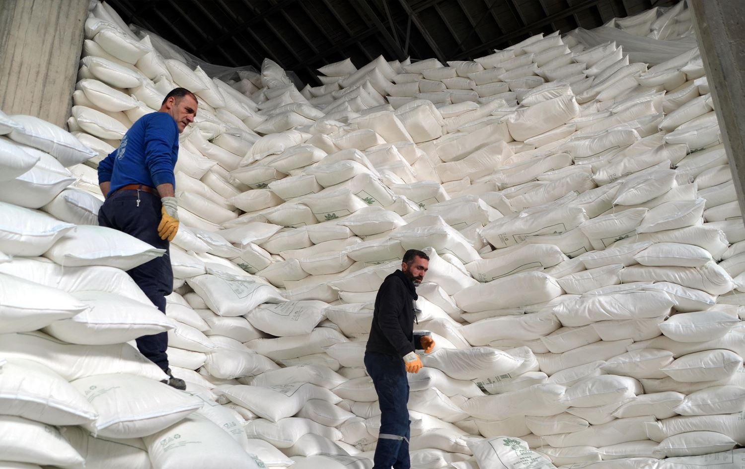 Li Mûşê berhemanîna şekir zêde bûye