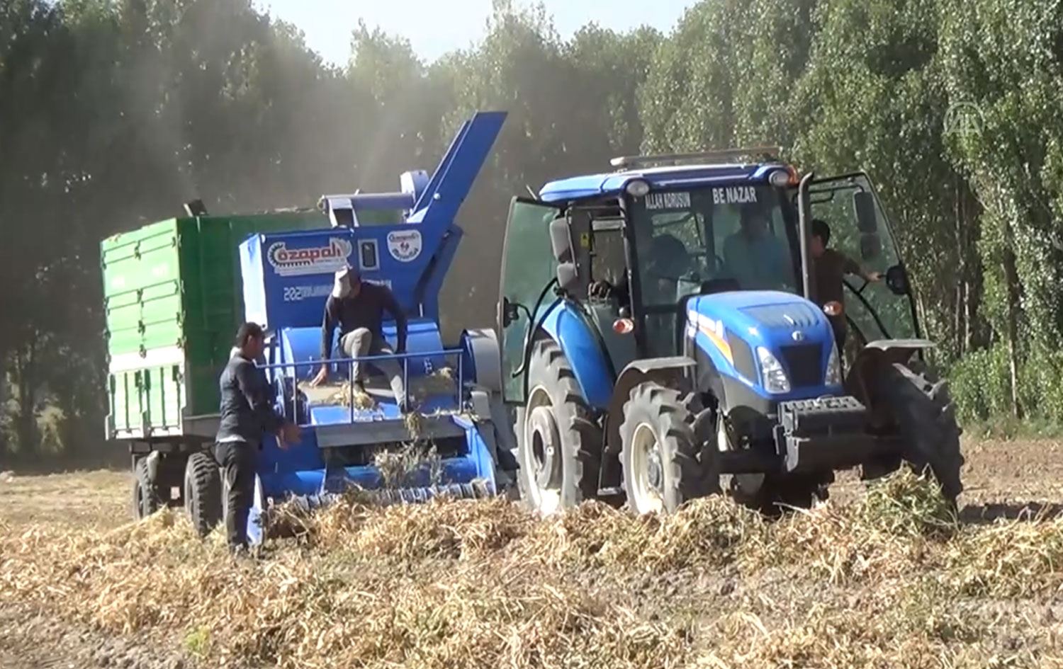 Ahlat Türkiye’nin üçüncü fasulye üretim merkezi oldu