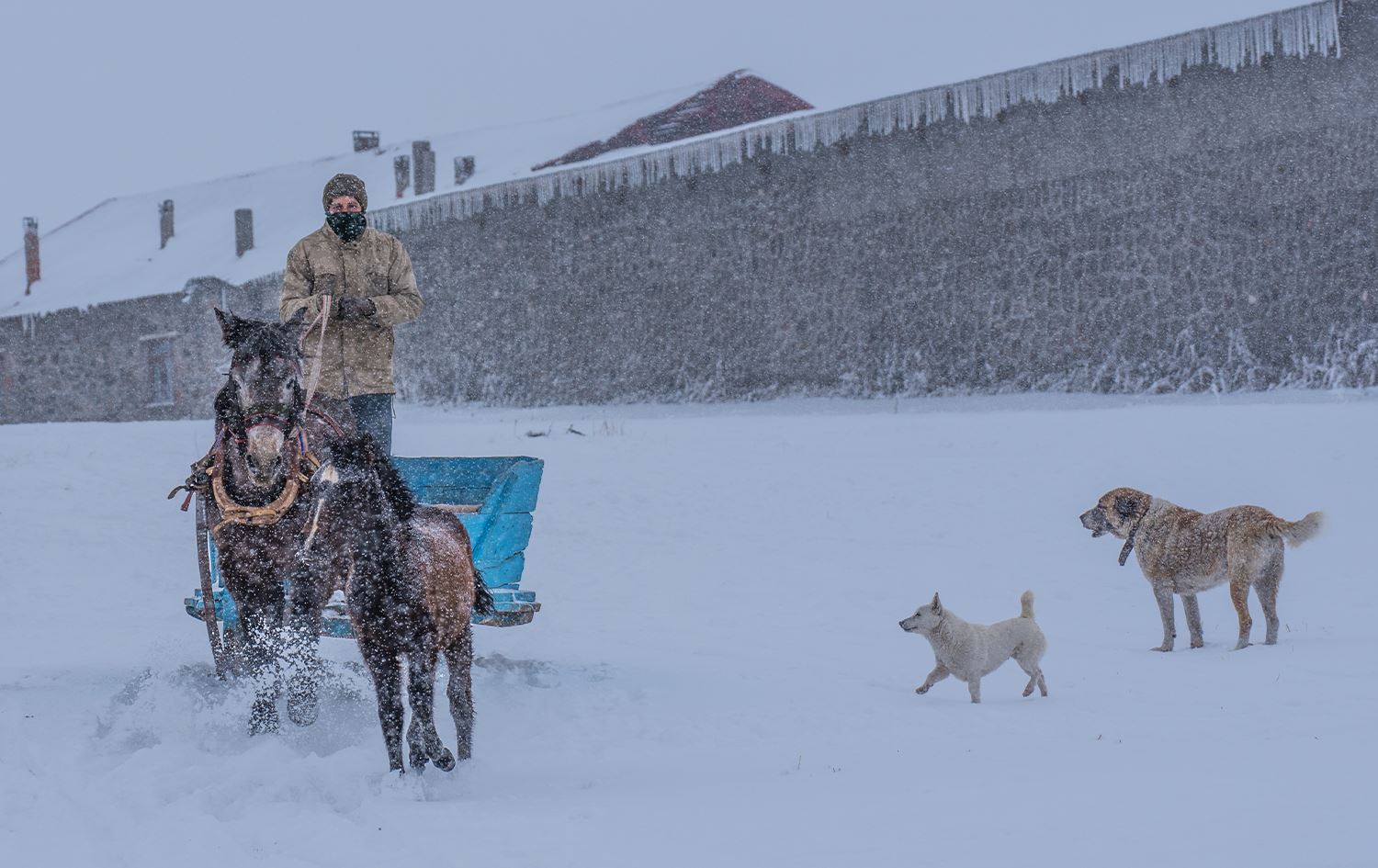 Li parêzgehên Bakurê Kurdistanê sir û seqem û berf berdewam e