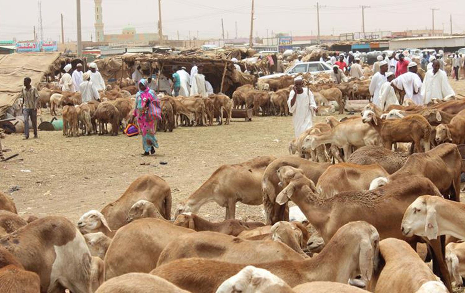 Güney Sudan'da sığır hırsızlarının saldırısında 56 kişi yaşamını yitirdi