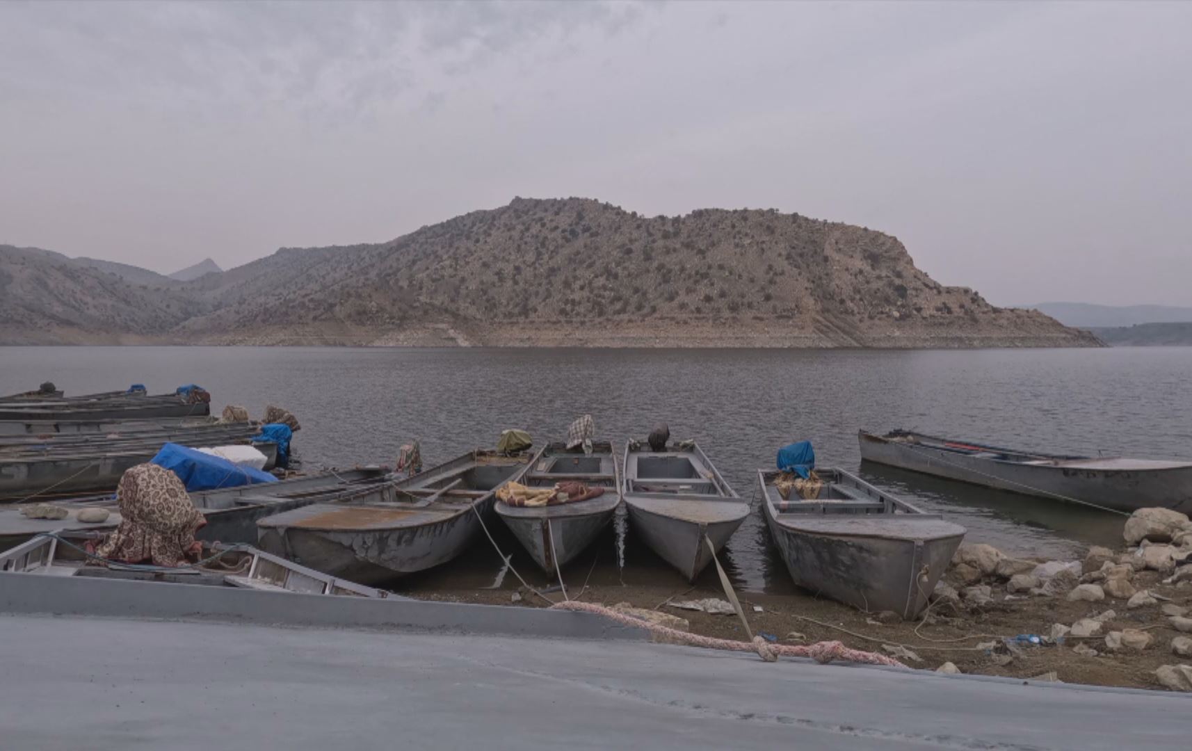 ماسی لە بەنداوی دەربەندیخان کەمبووەتەوە: 100 مەتر تۆڕم داناوە و یەک ماسیی نەگرتووە