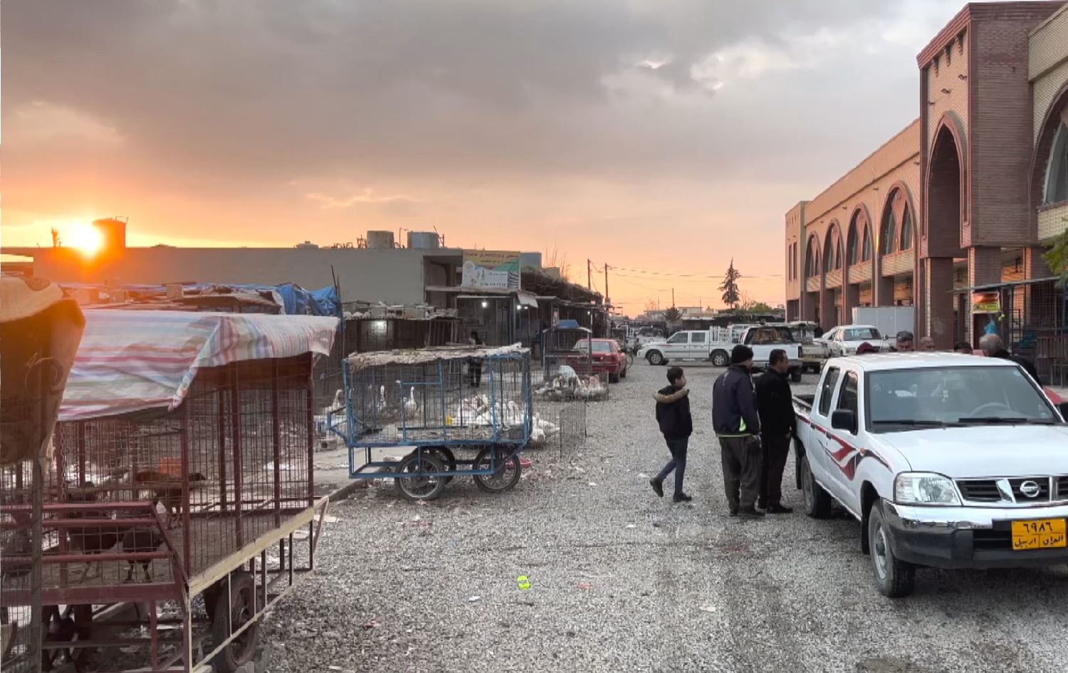 بەراورد بە ساڵی رابردوو نرخی قاز دوو هێندە بەرزبووەتەوە