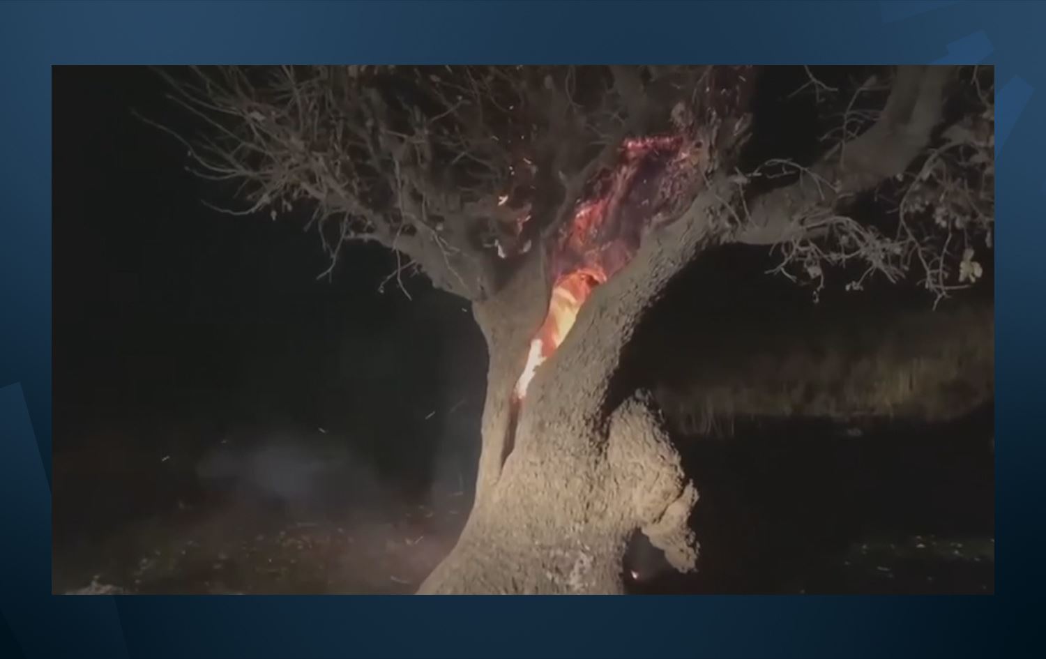 Geştiyaran di sersalê de dareke 100 salî şewitandin