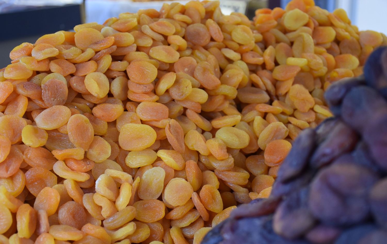 Hinardeya qeysiyên hişkkirî yên Meletiyê rekor tomar kir