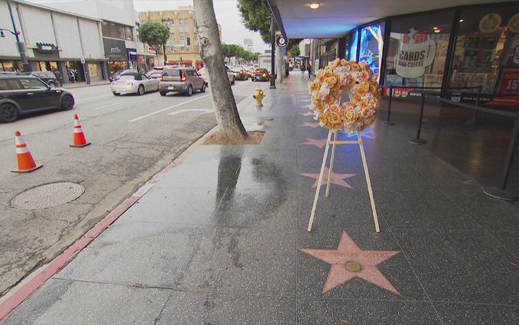 هۆلیوود یادی دوو هونەرمەندی کۆچکردوو دەکاتەوە