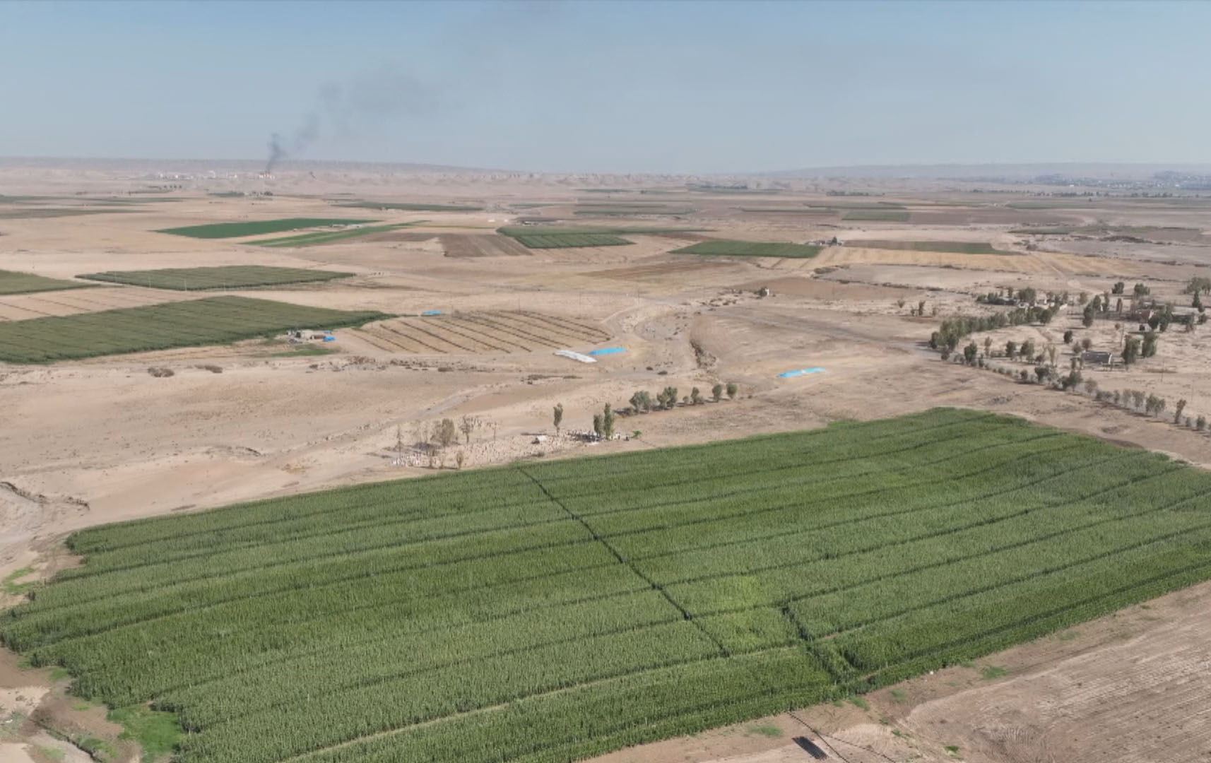 عەرەبی هاوردە لە گوندی تەرجلی سنووری لەیلان هەڕەشە لە جووتیارێکی کورد دەکەن