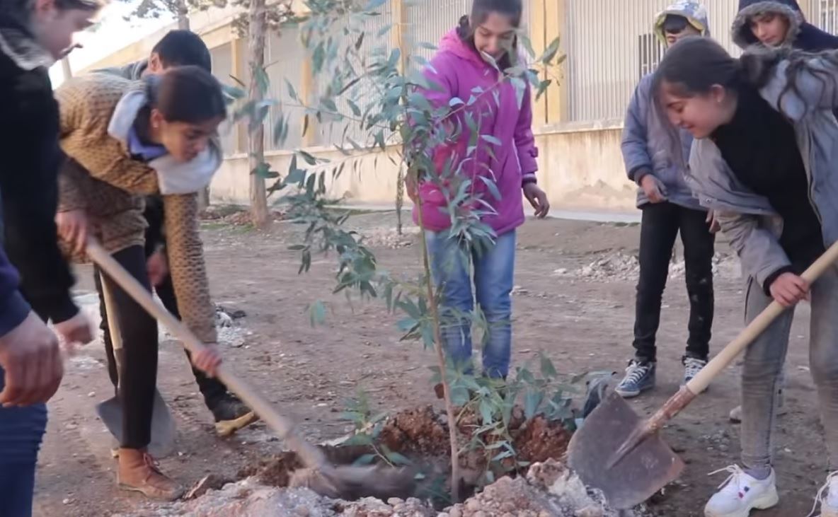 Li Kobaniyê 40,000 dar tên çandin