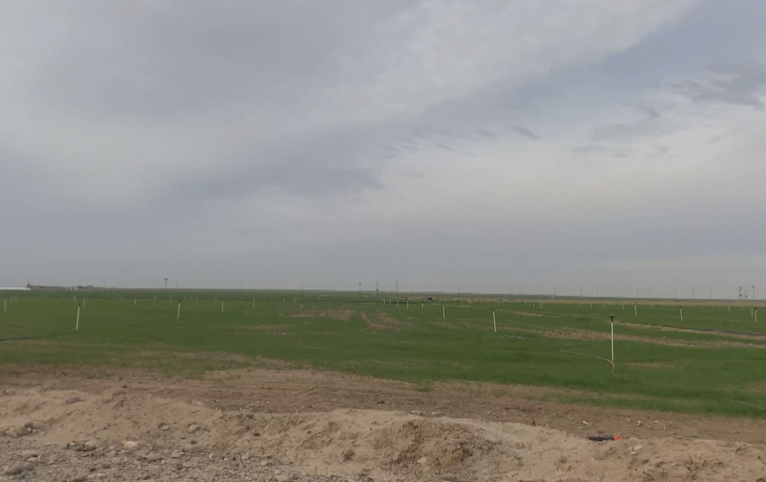 عەرەبێکی هاوردە داوای 120 دۆنم زەویی دوو جووتیاری کورد لە مەخموور دەکات