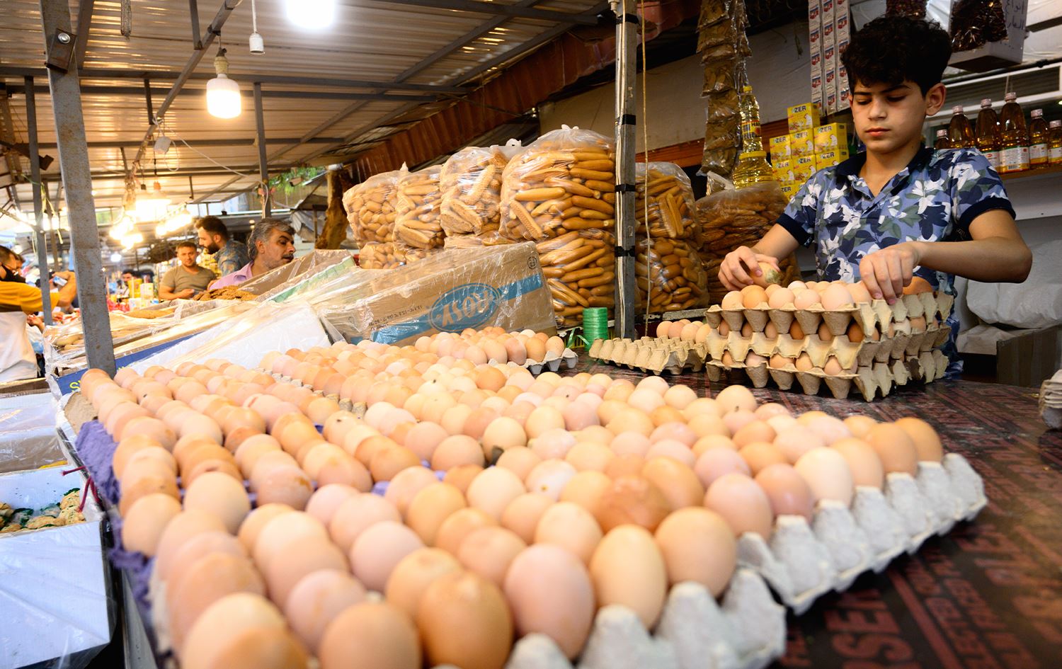 وەزارەتی کشتوکاڵ: دوای پڕکردنەوەی پێداویستیی ناوخۆ هێلکە دەنێرین بۆ عێراق