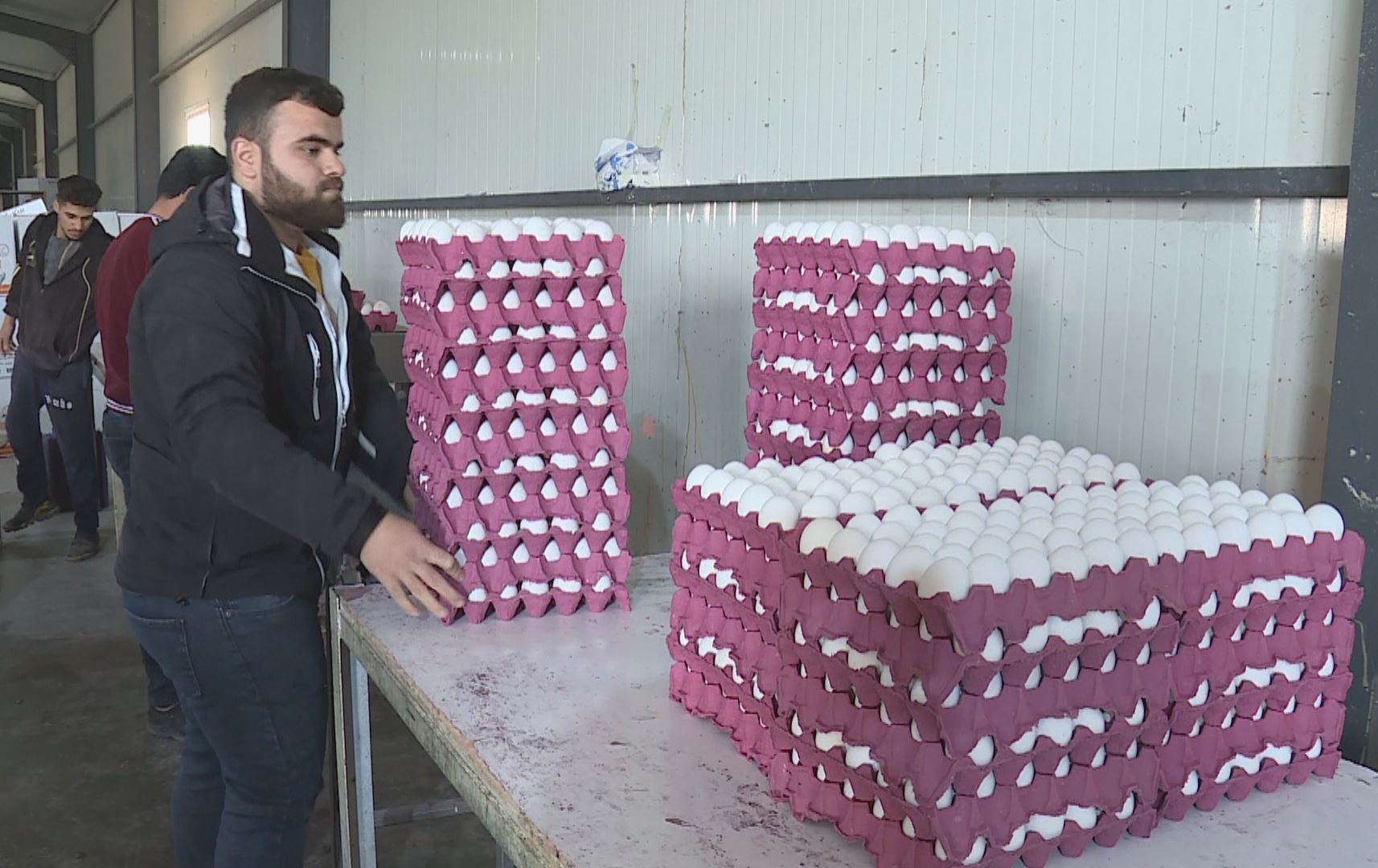 خاوەنی پڕۆژەیەکی بەرهەمهێنانی هێلکە: دابەزینی بەهای دینار هۆکارە بۆ گرانبوونی هێلکە