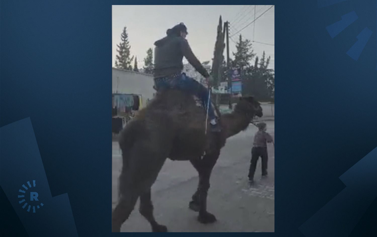 Eczaneyi kasaphaneye çevirip deve kesiyor